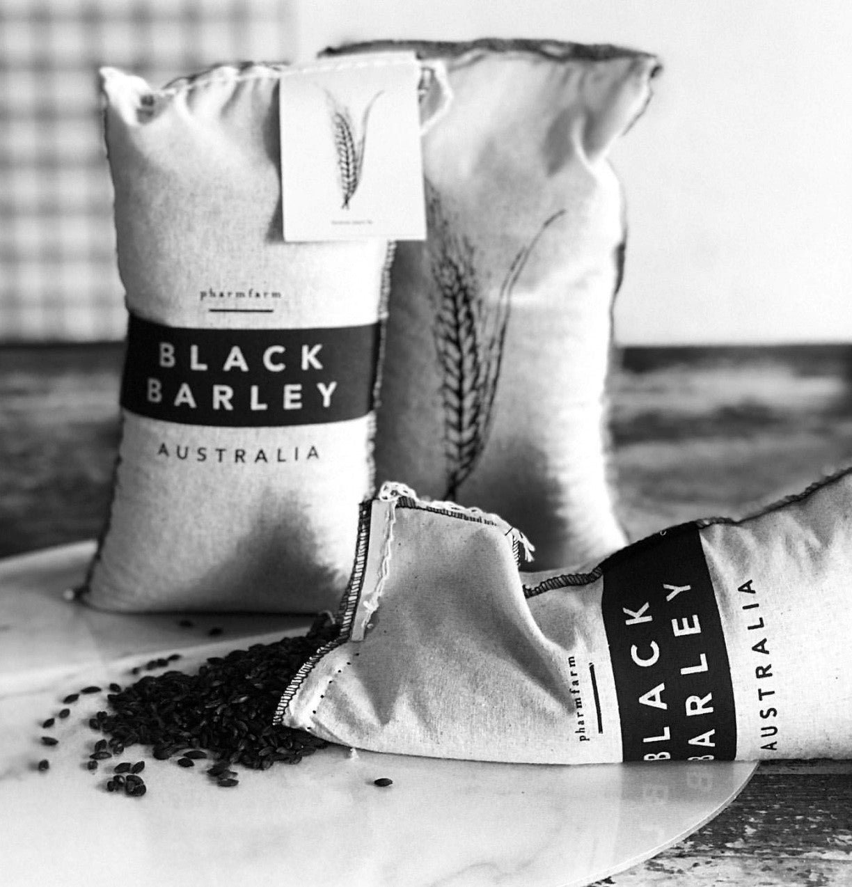 Pharmfarm - Black Barley 1KG