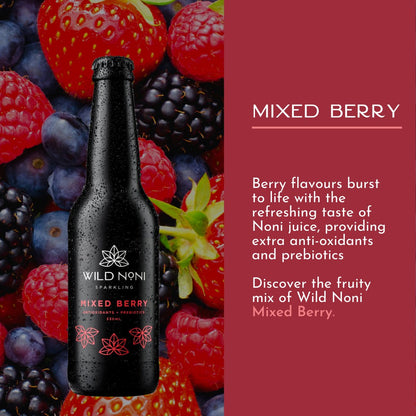 Wild Noni - Mixed Berry Sparkling Vegan All Natural Drink 330ml
